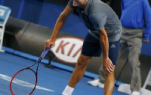 Гоффин и Нисикори вышли в четвертый раунд Australian Open