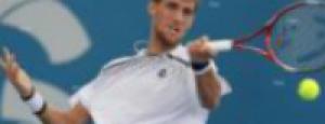 Словак Мартин Клижан вышел в полуфинал теннисного турнира в Роттердаме