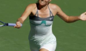 Эррани победила Стрыцову в финале теннисного турнира в Дубае