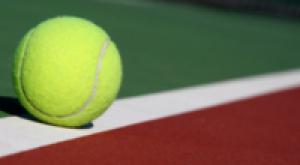 Гаспарян победила Плишкову в первом круге теннисного турнира в Дохе