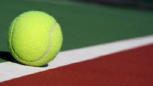Гаспарян победила Плишкову в первом круге теннисного турнира в Дохе