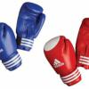 AIBA: профессиональные боксёры будут на Играх в Рио-де-Жанейро 01.03.2016