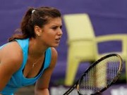Кырстя стала полуфиналисткой турнира WTA Premier-5 в Торонто