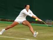 Ярмила Гайдошова — талантливая словацко-австралийская теннисистка